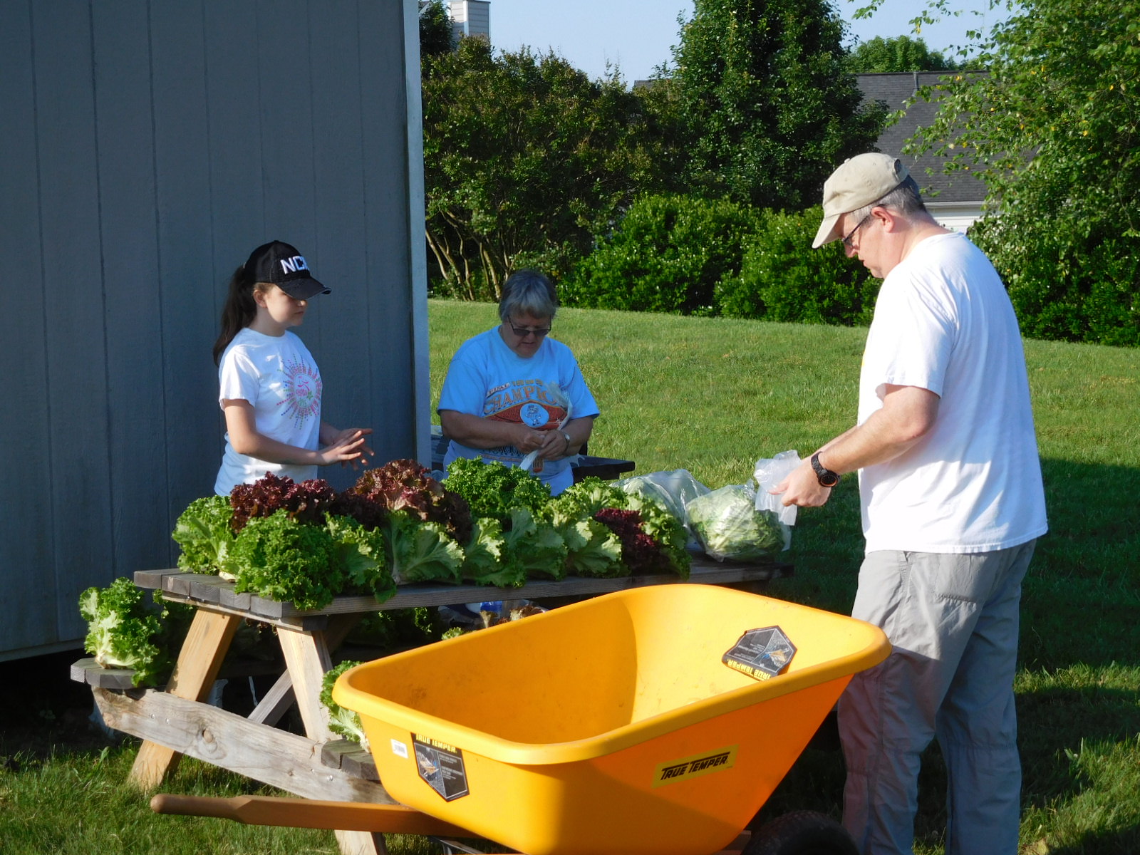 Spring Share the Harvest Farm Workday: Small But Successful !